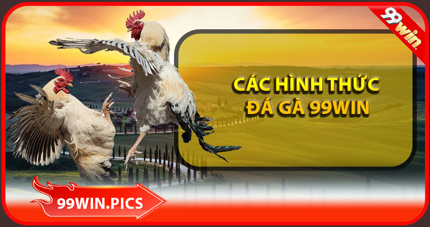 Các hình thức đá gà 99win phổ biến