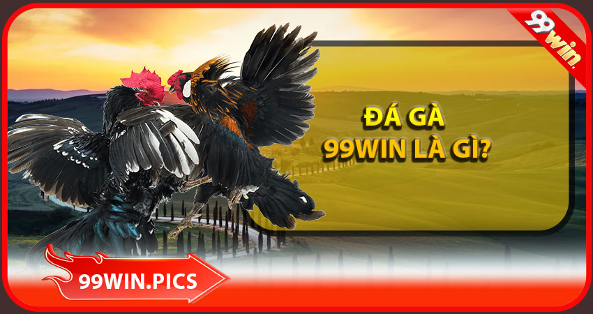 Đá gà 99win là gì